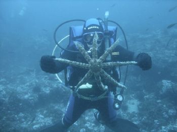 Omar with a big starfish in Juan Fernandez island. This p... by Luis Rossel Lopez 